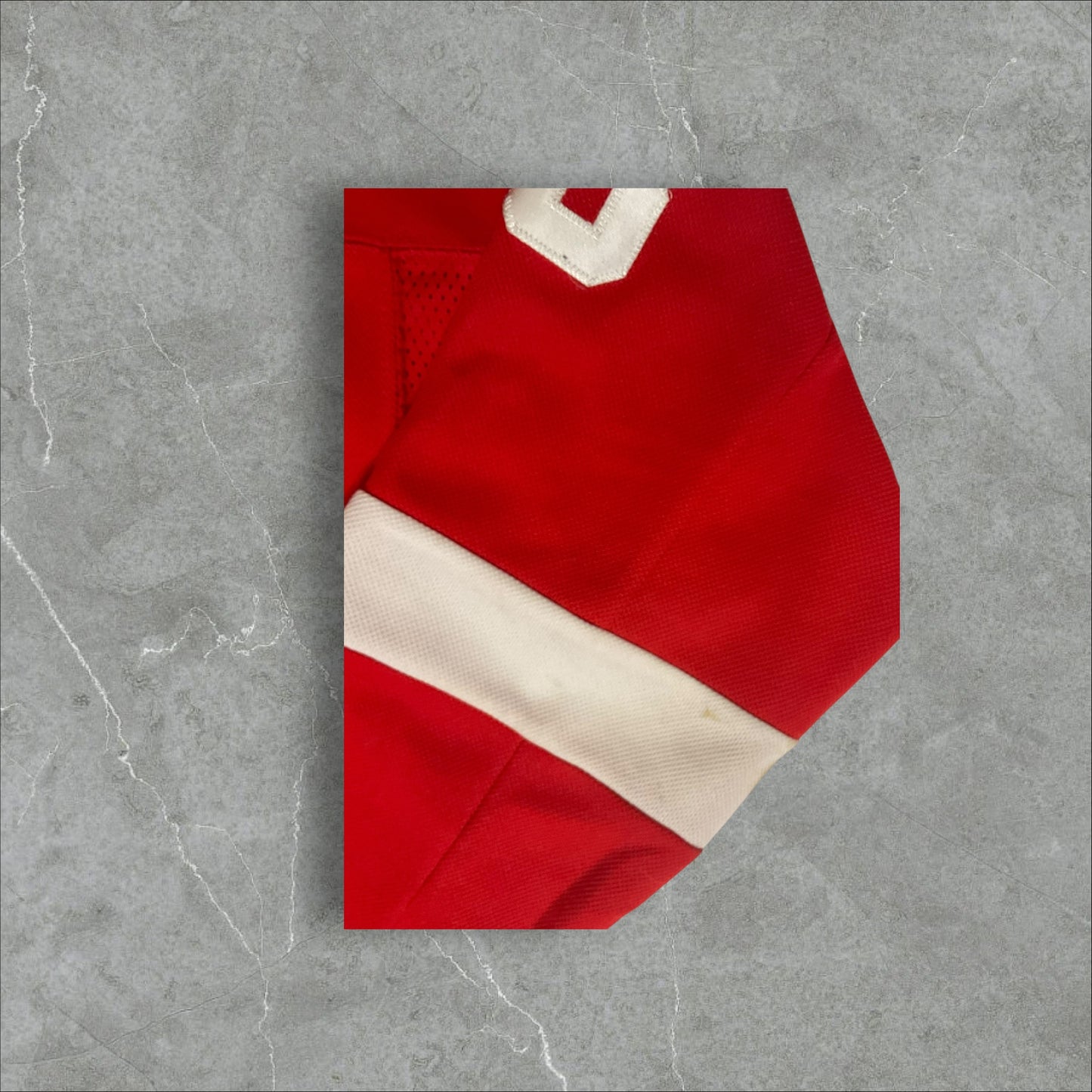 Fanatics Moritz Seider Detroit Red Wings Home Breakaway Player Jersey (L/XL)