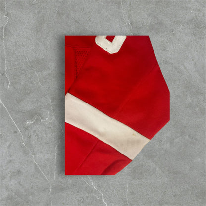 Fanatics Moritz Seider Detroit Red Wings Home Breakaway Player Jersey (L/XL)