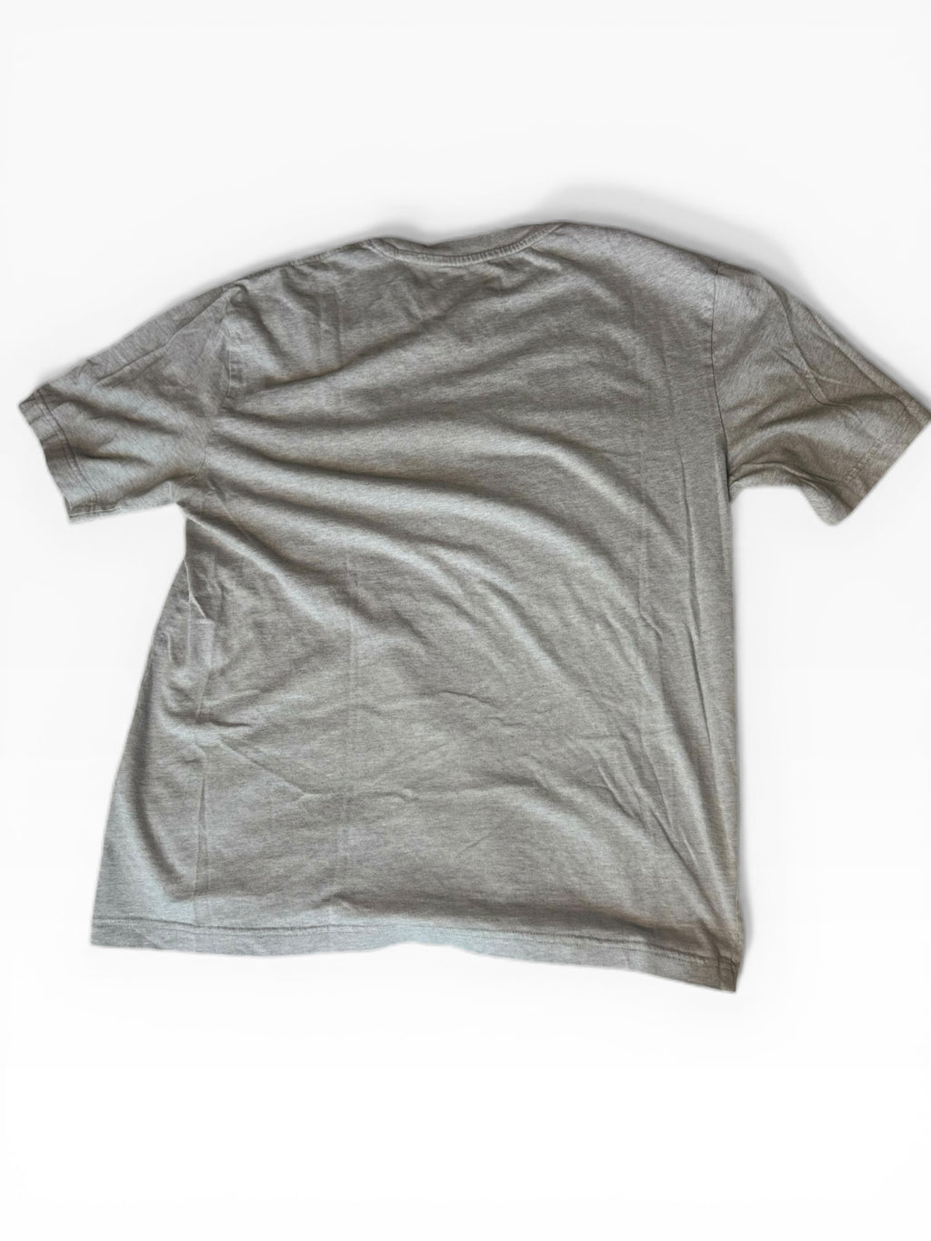 Palace Trianglosaurus Dinosaur Graphic Tee(S)