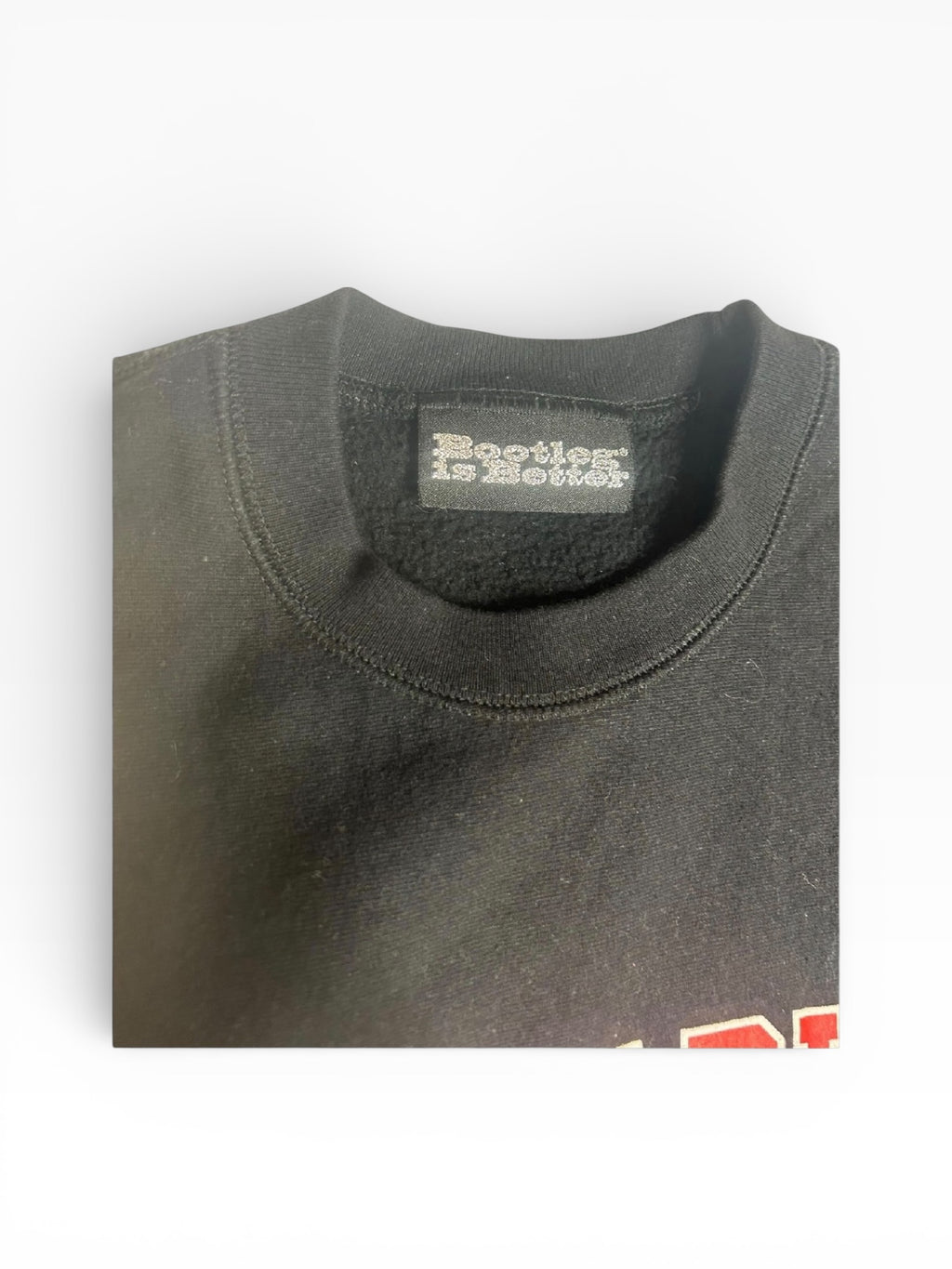 Plagiarism Pullover Sweatershirt (XL)