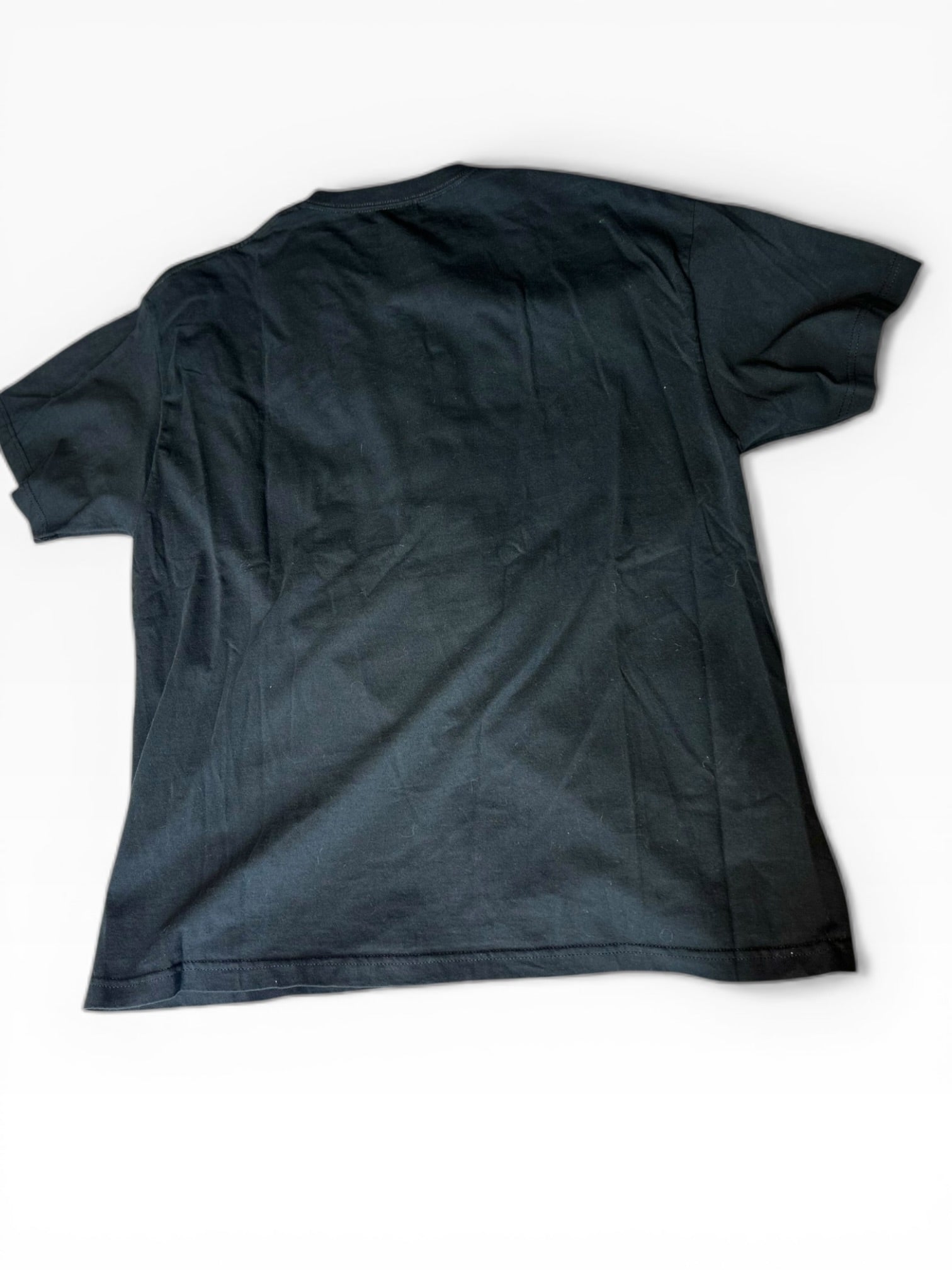 Full Court Pastor Al Green Sunday BBQ Graphic Tee(XXL)