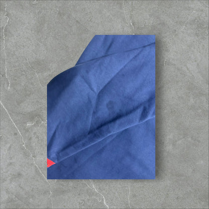 Polo Ralph Lauren Triple Pony Fleece Hoodie (3X)