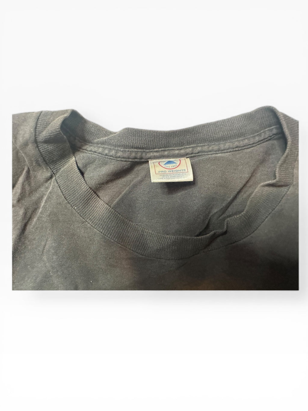 Everclear 2001 North American Tour Concert Tee (XL)